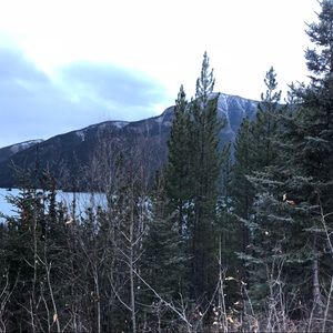 Meet your Posher, Paige